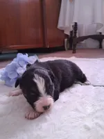 processed/7cbacb96-d1ee-4ca1-9e48-3475bc206f87/listing/38438540-79ad-4071-8564-de72cc74f2fe/26ad4d23-3076-483f-8b5f-9a4d4d6c44f0