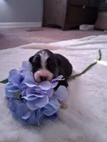 processed/7cbacb96-d1ee-4ca1-9e48-3475bc206f87/listing/38438540-79ad-4071-8564-de72cc74f2fe/391fdbae-9443-43ed-aa2c-1c03602fc3c2