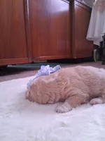 processed/7cbacb96-d1ee-4ca1-9e48-3475bc206f87/listing/3c15cd9b-76b4-4ef5-815c-abb17de5e180/71feb6ee-1dc7-4444-90e9-718de44cf0d2