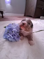 processed/7cbacb96-d1ee-4ca1-9e48-3475bc206f87/listing/4f3e565b-a34c-4c75-89f7-91138a089189/0ca61c01-eca0-4ad5-afb2-2196a9541781