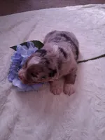 processed/7cbacb96-d1ee-4ca1-9e48-3475bc206f87/listing/4f3e565b-a34c-4c75-89f7-91138a089189/44315708-fcba-47da-99bd-ceb67da4d21a