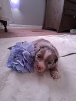 processed/7cbacb96-d1ee-4ca1-9e48-3475bc206f87/listing/4f3e565b-a34c-4c75-89f7-91138a089189/b335a1bd-a91a-4ea7-a25d-bdda27b7ad0c