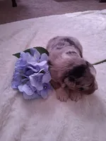 processed/7cbacb96-d1ee-4ca1-9e48-3475bc206f87/listing/4f3e565b-a34c-4c75-89f7-91138a089189/c0107009-fe77-48c1-95b1-b54dcc748615