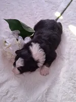 processed/7cbacb96-d1ee-4ca1-9e48-3475bc206f87/listing/6274e44f-6e69-47f2-9c37-c9a62a3a6f21/2b5ff7c2-fa4d-493f-a310-b0b2e721df82