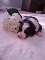 processed/7cbacb96-d1ee-4ca1-9e48-3475bc206f87/listing/6274e44f-6e69-47f2-9c37-c9a62a3a6f21/65014747-403e-45f8-8c14-6c819e8f03fa