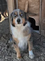 processed/7cbacb96-d1ee-4ca1-9e48-3475bc206f87/listing/6274e44f-6e69-47f2-9c37-c9a62a3a6f21/9a6621dc-b284-43d3-ae72-302dd87aedd1