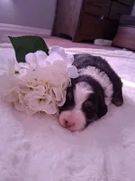 processed/7cbacb96-d1ee-4ca1-9e48-3475bc206f87/listing/6274e44f-6e69-47f2-9c37-c9a62a3a6f21/9ce121b8-c817-45e0-821e-5965da169a74