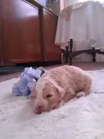 processed/7cbacb96-d1ee-4ca1-9e48-3475bc206f87/listing/797048aa-1f49-4e67-bc7c-9d54ecc9bace/11e13758-cfd0-49f4-ae6f-c37392c47ba4