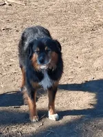 processed/7cbacb96-d1ee-4ca1-9e48-3475bc206f87/listing/797048aa-1f49-4e67-bc7c-9d54ecc9bace/fb6695ee-b369-497c-bfef-9403399a5de9