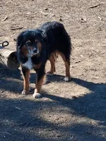 processed/7cbacb96-d1ee-4ca1-9e48-3475bc206f87/listing/d4932242-8328-4e02-9b8a-d49ef632d644/0ce91e83-5fd5-40f8-a397-efc0aa9aa37f