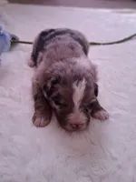 processed/7cbacb96-d1ee-4ca1-9e48-3475bc206f87/listing/d4932242-8328-4e02-9b8a-d49ef632d644/29ceefbb-1491-4fd1-9ffa-3c26ffb8154e