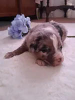 processed/7cbacb96-d1ee-4ca1-9e48-3475bc206f87/listing/d4932242-8328-4e02-9b8a-d49ef632d644/85d55bcb-1e2a-449c-b504-a0e40d37af39