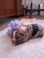 processed/7cbacb96-d1ee-4ca1-9e48-3475bc206f87/listing/d4932242-8328-4e02-9b8a-d49ef632d644/d823913c-c0f4-4cea-b1c1-7c15a0a684cd