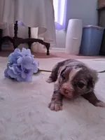 processed/7cbacb96-d1ee-4ca1-9e48-3475bc206f87/listing/d4932242-8328-4e02-9b8a-d49ef632d644/fb1b3a18-33de-4a2a-b36c-6944b1187524