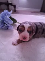 processed/7cbacb96-d1ee-4ca1-9e48-3475bc206f87/listing/fcf035ee-c132-4e9a-b477-b60cde396f0f/03753ce7-689b-46f8-b93d-d52e2f58fad4