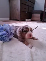 processed/7cbacb96-d1ee-4ca1-9e48-3475bc206f87/listing/fcf035ee-c132-4e9a-b477-b60cde396f0f/9d4379cd-4caa-416c-afc8-395add692646