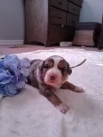 processed/7cbacb96-d1ee-4ca1-9e48-3475bc206f87/listing/fcf035ee-c132-4e9a-b477-b60cde396f0f/a5dfcc49-066b-4aba-97af-a9f7ea7349a5