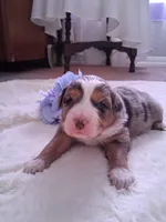 processed/7cbacb96-d1ee-4ca1-9e48-3475bc206f87/listing/fcf035ee-c132-4e9a-b477-b60cde396f0f/f98c35ac-e300-4671-87a3-1522f1031afe