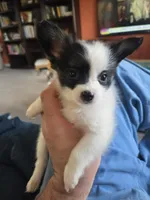 processed/7cc883f0-5274-4c96-bccd-a689975a42f2/listing/6732e9c6-2d58-4a8f-b163-99a34eea7f39/10d72109-679b-4474-9c8d-b67a437c8574