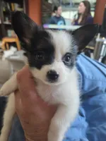 processed/7cc883f0-5274-4c96-bccd-a689975a42f2/listing/6732e9c6-2d58-4a8f-b163-99a34eea7f39/22be9dc1-9c2a-432a-9e43-f617045241d8