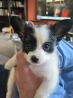 processed/7cc883f0-5274-4c96-bccd-a689975a42f2/listing/6732e9c6-2d58-4a8f-b163-99a34eea7f39/58d4877c-c3a1-4810-9f22-7e44c1da0b24