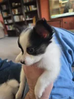 processed/7cc883f0-5274-4c96-bccd-a689975a42f2/listing/6732e9c6-2d58-4a8f-b163-99a34eea7f39/c4155514-50ff-4d49-8f98-582326809737