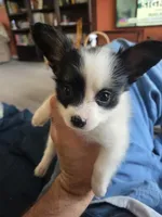 processed/7cc883f0-5274-4c96-bccd-a689975a42f2/listing/6732e9c6-2d58-4a8f-b163-99a34eea7f39/c83ba2b9-1f68-4519-9312-cf911144272d