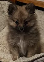 processed/7cce0dc2-02fc-4472-a3af-d76d7a5ac30b/listing/c1b61ff7-d1f8-494b-bf9b-1d83ea2c2cf4/0287a130-c09b-43c7-b3ec-d72af6f340bf