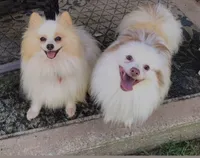 processed/7cce0dc2-02fc-4472-a3af-d76d7a5ac30b/listing/c1b61ff7-d1f8-494b-bf9b-1d83ea2c2cf4/131d0b5a-6744-49ec-8df9-b85fa75aaba9