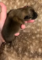 processed/7cce0dc2-02fc-4472-a3af-d76d7a5ac30b/listing/c1b61ff7-d1f8-494b-bf9b-1d83ea2c2cf4/67f90e96-7a50-43bf-b646-c08f69282126