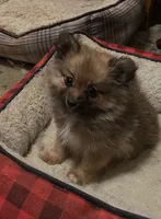 processed/7cce0dc2-02fc-4472-a3af-d76d7a5ac30b/listing/c1b61ff7-d1f8-494b-bf9b-1d83ea2c2cf4/e662cad0-c1f1-4eeb-b93d-905a0136fa86