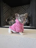 processed/7cd0649f-2cf7-488c-9301-51558068a76c/listing/18a56013-bd5f-4314-82d6-77980252cf41/4dcf5cdf-22b3-4c84-838e-cabc3a9236a0