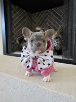 processed/7cd0649f-2cf7-488c-9301-51558068a76c/listing/18a56013-bd5f-4314-82d6-77980252cf41/7d029bac-b2d3-46ce-9e8f-c84e5303b0a8