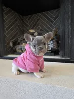 processed/7cd0649f-2cf7-488c-9301-51558068a76c/listing/18a56013-bd5f-4314-82d6-77980252cf41/9d90485a-74f7-4334-b9cb-452830aab25a