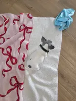 processed/7cd0649f-2cf7-488c-9301-51558068a76c/listing/18a56013-bd5f-4314-82d6-77980252cf41/b45d4805-b125-42ba-b9ea-db392ff3c405