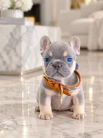 Diamond , a female French Bulldog for sale in Springfield, MO – 1 of 1