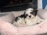 processed/7cd1977e-92ff-44b1-a4c7-7169e0ce890d/listing/ffdfceac-c19b-47f8-8c9d-eb930c93184c/7e343cab-d7d8-4b65-a737-768d97edaf03