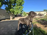 processed/7cd5f7ca-1d18-47dd-9a1f-9f4d93e7e3aa/facility/09e1516b-d869-48e0-9f4d-573f980acd05