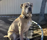 processed/7cd5f7ca-1d18-47dd-9a1f-9f4d93e7e3aa/facility/120b1360-a80d-4e0c-84c3-79a76bafe9b2