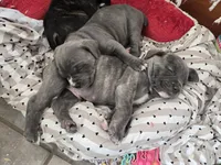 processed/7cd5f7ca-1d18-47dd-9a1f-9f4d93e7e3aa/facility/5e8bd300-7e93-42d7-8b69-3464af2c560f