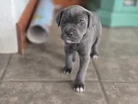 processed/7cd5f7ca-1d18-47dd-9a1f-9f4d93e7e3aa/facility/947212f2-cfdb-4a9c-85ed-b569f9dc2993