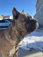 processed/7cd5f7ca-1d18-47dd-9a1f-9f4d93e7e3aa/facility/afa16b2a-691d-437b-a809-eaae5623198b