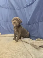 processed/7cd5f7ca-1d18-47dd-9a1f-9f4d93e7e3aa/facility/d5d6d99f-d911-40a2-b36d-18782b2eab72