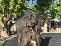 processed/7cd5f7ca-1d18-47dd-9a1f-9f4d93e7e3aa/facility/e881d444-35d7-4788-8646-8def1b7244fb