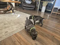 processed/7cd5f7ca-1d18-47dd-9a1f-9f4d93e7e3aa/listing/67f2b3b7-6b5d-4c47-afbe-9858930176e1/57b6f823-f090-4ce5-9a2e-cb04c883656b