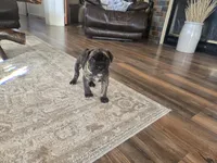 processed/7cd5f7ca-1d18-47dd-9a1f-9f4d93e7e3aa/listing/67f2b3b7-6b5d-4c47-afbe-9858930176e1/5b703574-b17e-453b-a0e6-4136962b2a4f