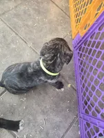 processed/7cd5f7ca-1d18-47dd-9a1f-9f4d93e7e3aa/listing/67f2b3b7-6b5d-4c47-afbe-9858930176e1/5ebb5454-835b-4592-8cf4-f6c9fd278e0a