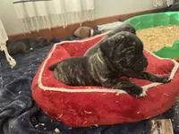 processed/7cd5f7ca-1d18-47dd-9a1f-9f4d93e7e3aa/listing/67f2b3b7-6b5d-4c47-afbe-9858930176e1/baeab0b3-dca3-4723-a833-074ce7eb61a3