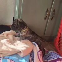 processed/7cd5f7ca-1d18-47dd-9a1f-9f4d93e7e3aa/listing/67f2b3b7-6b5d-4c47-afbe-9858930176e1/f49291af-78b5-4476-baa2-9afa724e300e