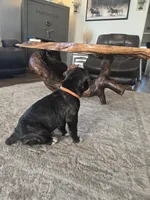 processed/7cd5f7ca-1d18-47dd-9a1f-9f4d93e7e3aa/listing/7bb68c03-3cb4-4fbf-9b62-33c164a229b3/2c5eed29-f612-457a-a6b2-c53b4f412753